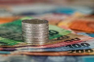 Французский экономист: Индия станет единственной страной, которая выиграет от украинского конфликта