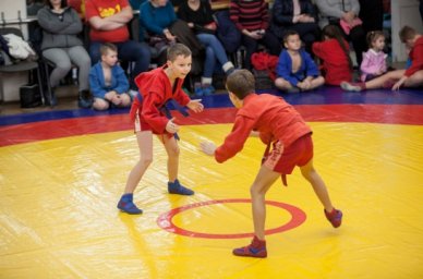 Самые активные участники проекта &laquo;Самбо в школу&raquo; приехали в &laquo;Смену&raquo;