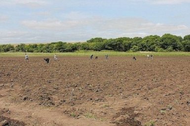 Глобальное потепление: сеять на месяц раньше начинают в Приморье Глобальное потепление: сеять на месяц раньше начинают в Приморье