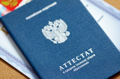 Беженцы из ДНР, ЛНР и выпускники за границей смогут пройти ГИА в облегченном режиме