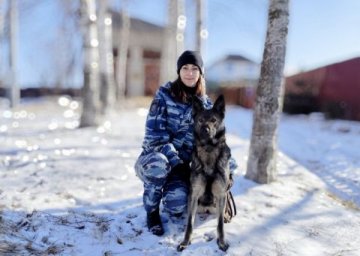 Вор должен сидеть в тюрьме, решила собака Вор должен сидеть в тюрьме, решила собака