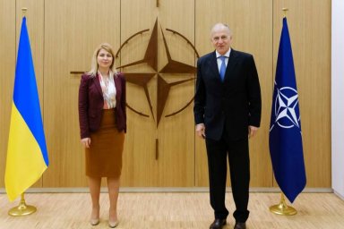Заместитель генсека НАТО: Украине не обещали скорого вступления в альянс Заместитель генсека НАТО: Украине не обещали скорого вступления в альянс