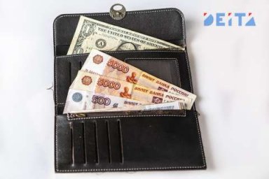 Сенатор оценил риски дефицита доллара в России