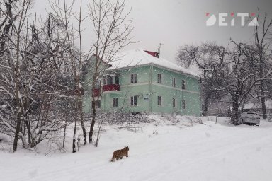 Спасатели освободили женщину с детьми из морозного плена в Приморье Спасатели освободили женщину с детьми из морозного плена в Приморье