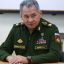Планов на новую мобилизацию нет &ndash; Шойгу