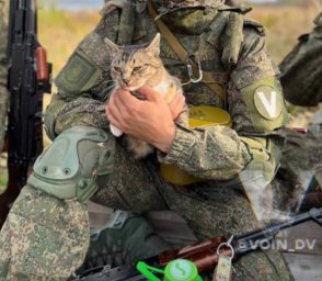 &laquo;Живой уголок&raquo; 155 бригады ТОФ: как дальневосточники спасают животных на Донбассе