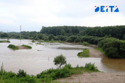 Проезда нет: дороги размыты в Приморье