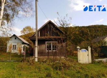 Памятка дачникам: как правильно удалять борщевик Памятка дачникам: как правильно удалять борщевик