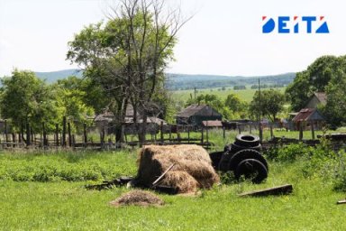 Мошенница из Приморья отобрала участок земли у ветерана труда