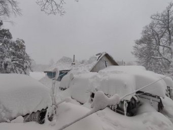 Крыша дома рухнула на семью под тяжестью снега в Приморье
