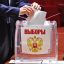 Год выборов ждет Россию