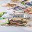 Аналитики уверены в снижении ключевой ставки до 7%