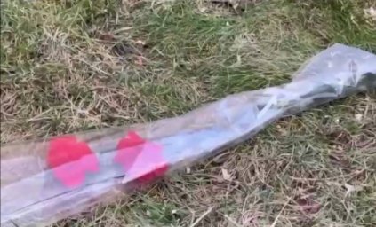 Полиция и СБУ в Одессе ищут горожан, принесших цветы к снесенному памятнику Екатерине II Полиция и СБУ в Одессе ищут горожан, принесших цветы к снесенному памятнику Екатерине II