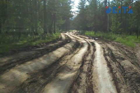 Любителям &laquo;тихой охоты&raquo; грозит тюрьма