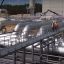 Власти и бизнес Германии считают снижение Россией поставок газа по &laquo;Северному потоку-1&raquo; политическим