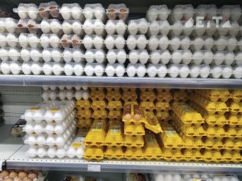 Куда делись ввезенные в Россию яйца и почему их не продают Куда делись ввезенные в Россию яйца и почему их не продают