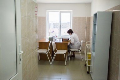 Эпидемиолог оценил возможность возникновения пандемии свиного гриппа в России