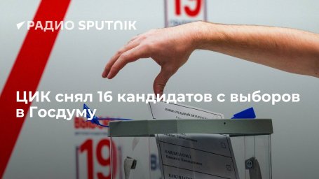 Исключены кандидаты в депутаты Госдумы из списков "Яблока", РПСС и Партии роста